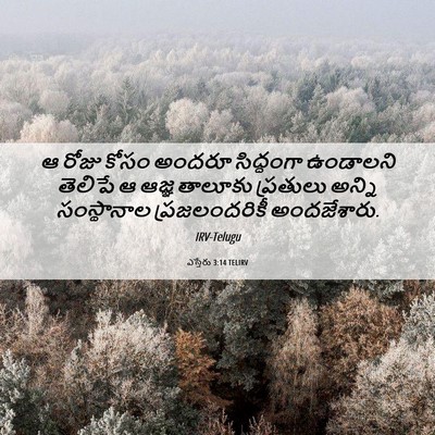 Picture 06 - ఎస్తేరు 3:14 TELIRV - ఆ రోజు కోసం అందరూ - Bible Verse Picture