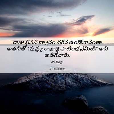 Picture 06 - ఎస్తేరు 3:3 TELIRV - రాజు భవన ద్వారం - Bible Verse Picture