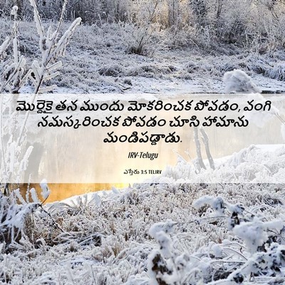 Picture 06 - ఎస్తేరు 3:5 TELIRV - మొర్దెకై తన ముందు - Bible Verse Picture