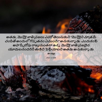 Picture 06 - ఎస్తేరు 3:6 TELIRV - అతడు, మొర్దెకై - Bible Verse Picture