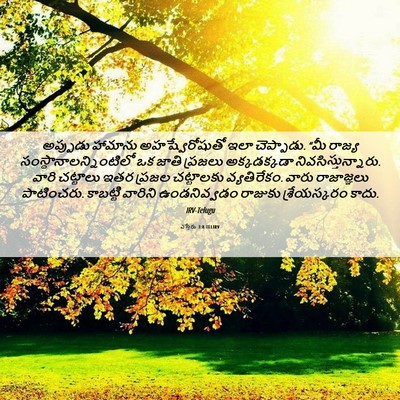 Picture 06 - ఎస్తేరు 3:8 TELIRV - అప్పుడు హామాను - Bible Verse Picture