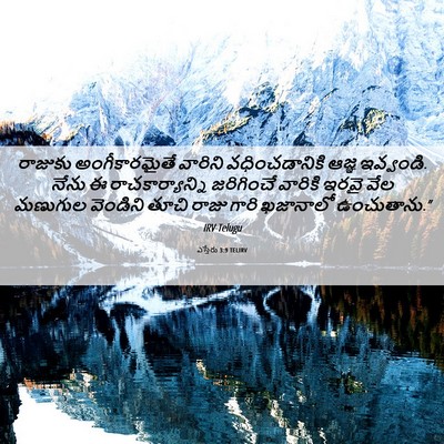 Picture 06 - ఎస్తేరు 3:9 TELIRV - రాజుకు - Bible Verse Picture