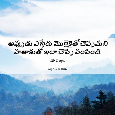 Picture 06 - ఎస్తేరు 4:10 TELIRV - అప్పుడు ఎస్తేరు - Bible Verse Picture