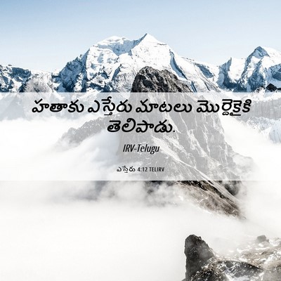 Picture 06 - ఎస్తేరు 4:12 TELIRV - హతాకు ఎస్తేరు - Bible Verse Picture