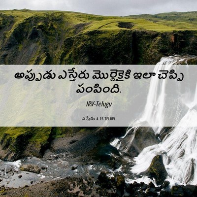 Picture 06 - ఎస్తేరు 4:15 TELIRV - అప్పుడు ఎస్తేరు - Bible Verse Picture