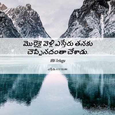 Picture 06 - ఎస్తేరు 4:17 TELIRV - మొర్దెకై వెళ్లి - Bible Verse Picture