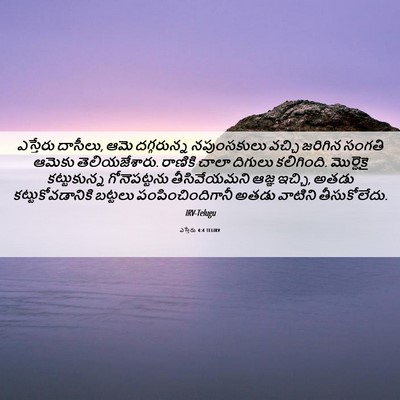 Picture 06 - ఎస్తేరు 4:4 TELIRV - ఎస్తేరు దాసీలు, - Bible Verse Picture