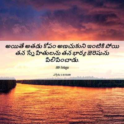 Picture 06 - ఎస్తేరు 5:10 TELIRV - అయితే అతడు కోపం - Bible Verse Picture
