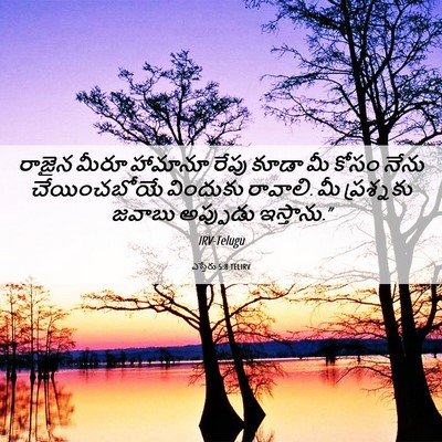 Picture 06 - ఎస్తేరు 5:8 TELIRV - రాజైన మీరూ హామానూ - Bible Verse Picture