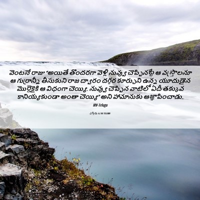 Picture 06 - ఎస్తేరు 6:10 TELIRV - వెంటనే రాజు - Bible Verse Picture