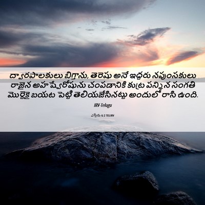Picture 06 - ఎస్తేరు 6:2 TELIRV - ద్వారపాలకులు - Bible Verse Picture