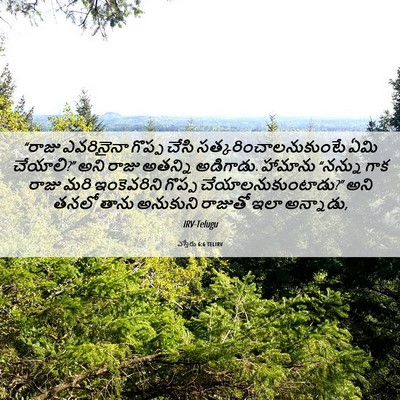 Picture 06 - ఎస్తేరు 6:6 TELIRV - “రాజు ఎవరినైనా - Bible Verse Picture