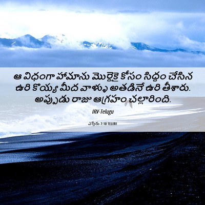 Picture 06 - ఎస్తేరు 7:10 TELIRV - ఆ విధంగా హామాను - Bible Verse Picture