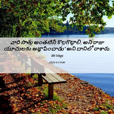 Picture 06 - ఎస్తేరు 8:12 TELIRV - వారి సొత్తు - Bible Verse Picture