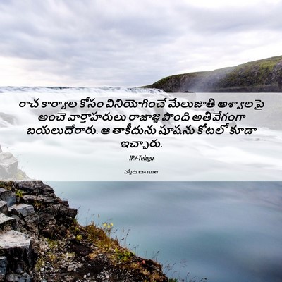 Picture 06 - ఎస్తేరు 8:14 TELIRV - రాచ కార్యాల కోసం - Bible Verse Picture