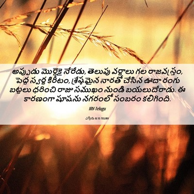 Picture 06 - ఎస్తేరు 8:15 TELIRV - అప్పుడు మొర్దెకై - Bible Verse Picture
