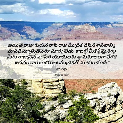Picture 06 - ఎస్తేరు 8:8 TELIRV - అయితే రాజు పేరున - Bible Verse Picture