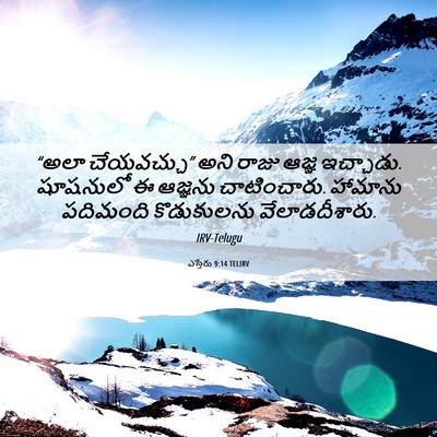 Picture 06 - ఎస్తేరు 9:14 TELIRV - “అలా చేయవచ్చు” - Bible Verse Picture