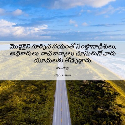Picture 06 - ఎస్తేరు 9:3 TELIRV - మొర్దెకైని - Bible Verse Picture