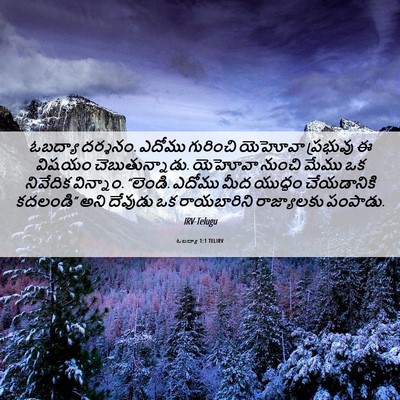 Picture 06 - ఓబద్యా 1:1 TELIRV - ఓబద్యా దర్శనం. - Bible Verse Picture