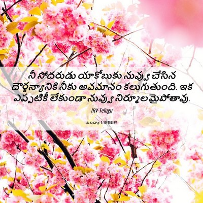 Picture 06 - ఓబద్యా 1:10 TELIRV - నీ సోదరుడు - Bible Verse Picture