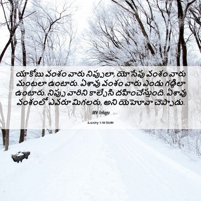 Picture 06 - ఓబద్యా 1:18 TELIRV - యాకోబు వంశం వారు - Bible Verse Picture