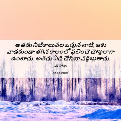 Picture 06 - కీర్తన 1:3 TELIRV - అతడు నీటికాలువల - Bible Verse Picture