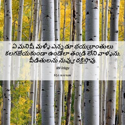 Picture 06 - కీర్తన 10:18 TELIRV - ఏ మనిషీ మళ్ళీ - Bible Verse Picture