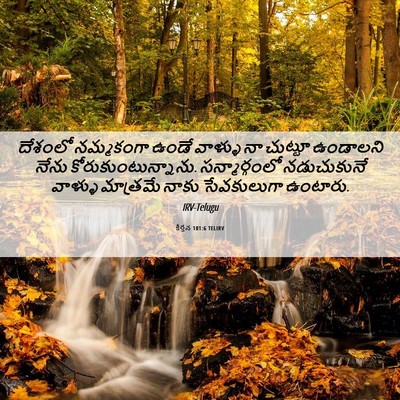 Picture 06 - కీర్తన 101:6 TELIRV - దేశంలో నమ్మకంగా - Bible Verse Picture
