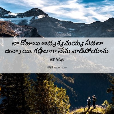 Picture 06 - కీర్తన 102:11 TELIRV - నా రోజులు - Bible Verse Picture