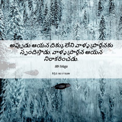 Picture 06 - కీర్తన 102:17 TELIRV - అప్పుడు ఆయన - Bible Verse Picture