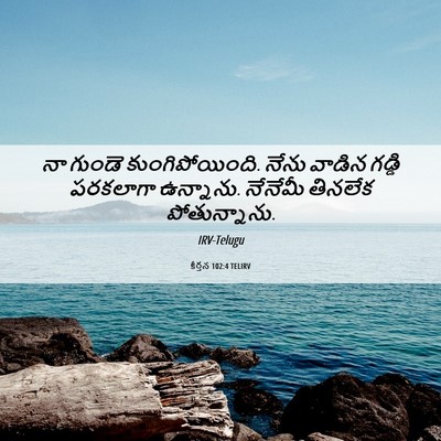 Picture 06 - కీర్తన 102:4 TELIRV - నా గుండె - Bible Verse Picture