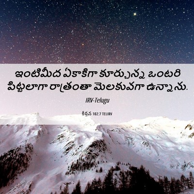 Picture 06 - కీర్తన 102:7 TELIRV - ఇంటిమీద ఏకాకిగా - Bible Verse Picture