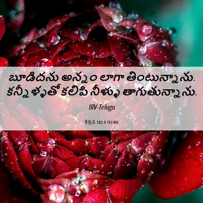 Picture 06 - కీర్తన 102:9 TELIRV - బూడిదను అన్నం - Bible Verse Picture