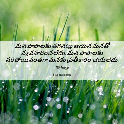 Picture 06 - కీర్తన 103:10 TELIRV - మన పాపాలకు - Bible Verse Picture