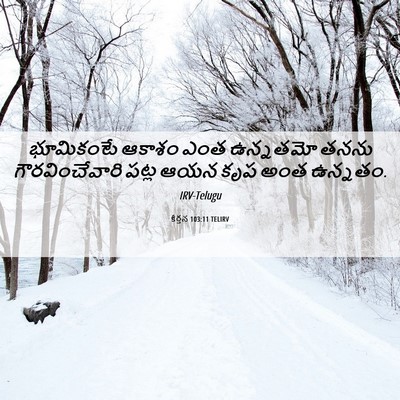 Picture 06 - కీర్తన 103:11 TELIRV - భూమికంటే ఆకాశం - Bible Verse Picture