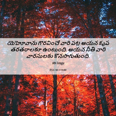 Picture 06 - కీర్తన 103:17 TELIRV - యెహోవాను గౌరవించే - Bible Verse Picture