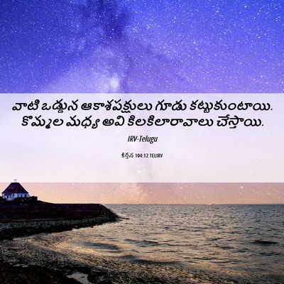 Picture 06 - కీర్తన 104:12 TELIRV - వాటి ఒడ్డున - Bible Verse Picture