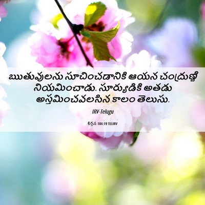 Picture 06 - కీర్తన 104:19 TELIRV - ఋతువులను - Bible Verse Picture
