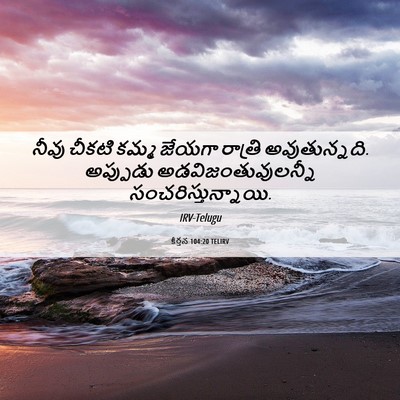 Picture 06 - కీర్తన 104:20 TELIRV - నీవు చీకటి కమ్మ - Bible Verse Picture