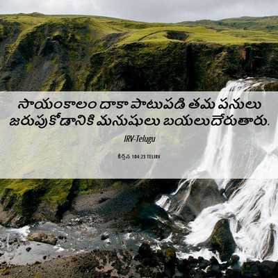 Picture 06 - కీర్తన 104:23 TELIRV - సాయంకాలం దాకా - Bible Verse Picture