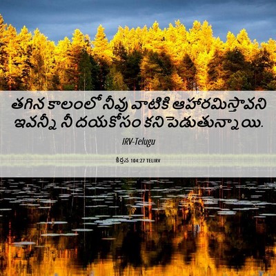 Picture 06 - కీర్తన 104:27 TELIRV - తగిన కాలంలో నీవు - Bible Verse Picture