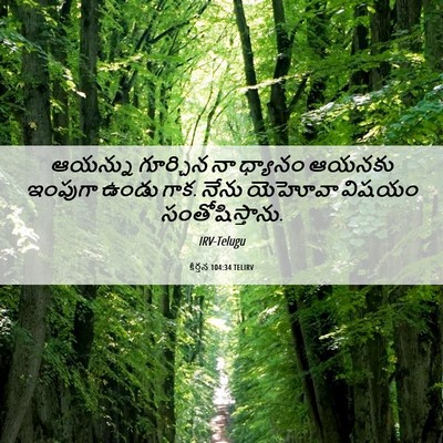 Picture 06 - కీర్తన 104:34 TELIRV - ఆయన్ను గూర్చిన నా - Bible Verse Picture