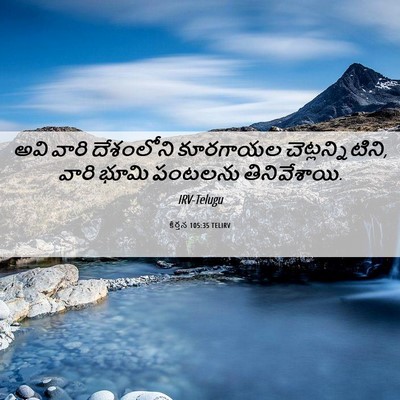 Picture 06 - కీర్తన 105:35 TELIRV - అవి వారి దేశంలోని - Bible Verse Picture