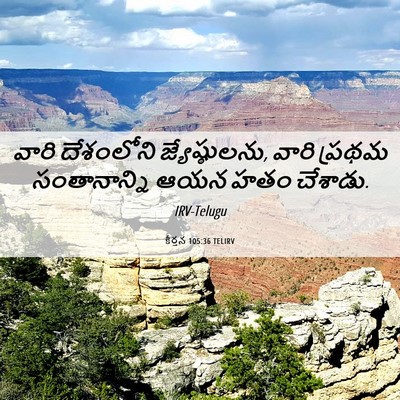 Picture 06 - కీర్తన 105:36 TELIRV - వారి దేశంలోని - Bible Verse Picture