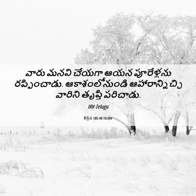 Picture 06 - కీర్తన 105:40 TELIRV - వారు మనవి చేయగా - Bible Verse Picture