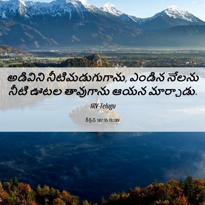 Picture 06 - కీర్తన 107:35 TELIRV - అడివిని - Bible Verse Picture