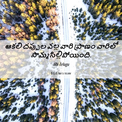 Picture 06 - కీర్తన 107:5 TELIRV - ఆకలి దప్పుల వల్ల - Bible Verse Picture
