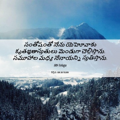 Picture 06 - కీర్తన 109:30 TELIRV - సంతోషంతో నేను - Bible Verse Picture