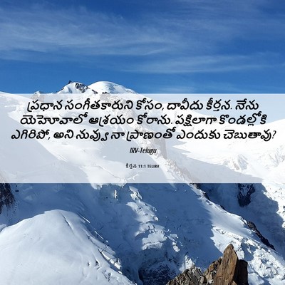 Picture 06 - కీర్తన 11:1 TELIRV - ప్రధాన - Bible Verse Picture